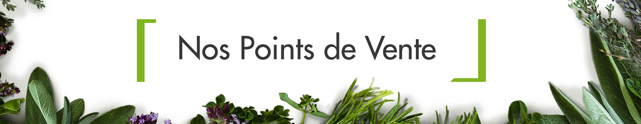 Soins du corps bio Dermaclay : Cosmétiques 100% certifiés Bio