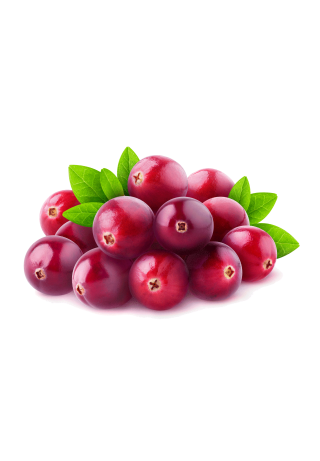 Arbutine