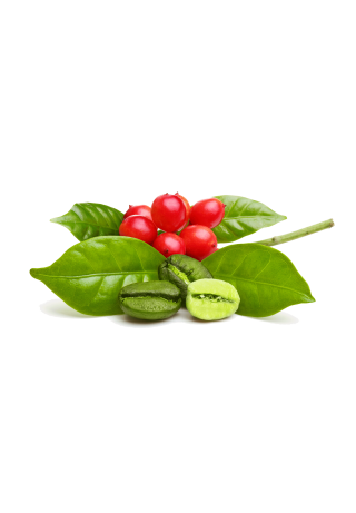 Café vert