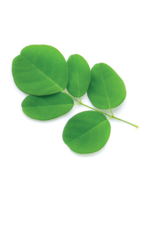 Moringa