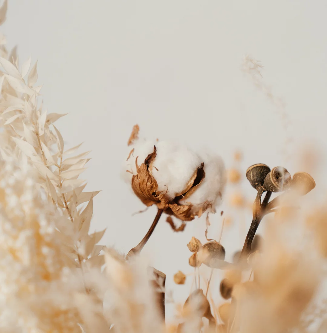 Huile de grains de coton