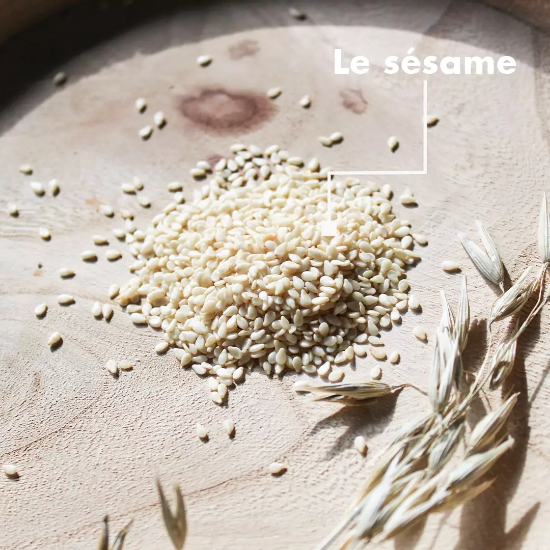 graine de sésame