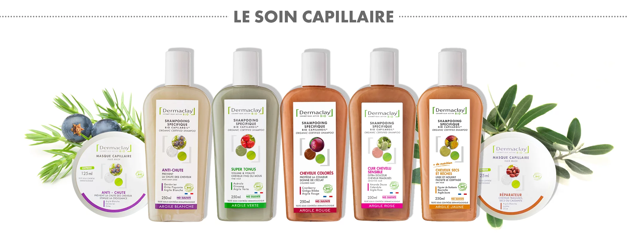 image catégorie soins capillaire