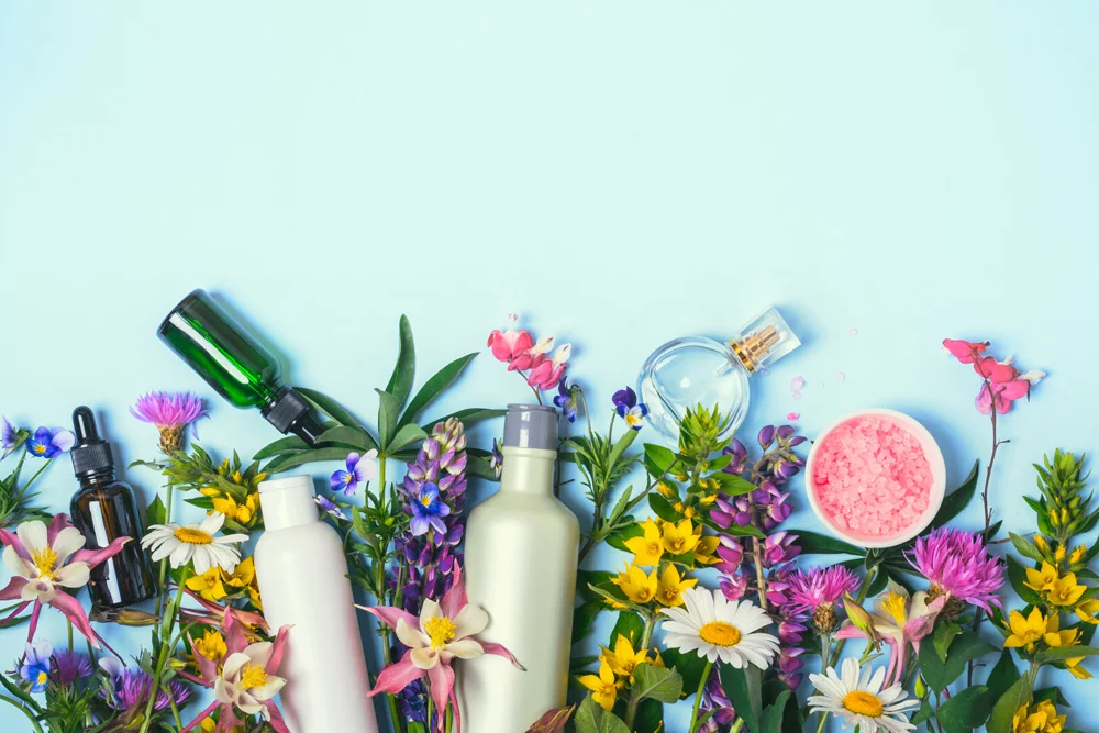 Au-delà des normes du label BIO