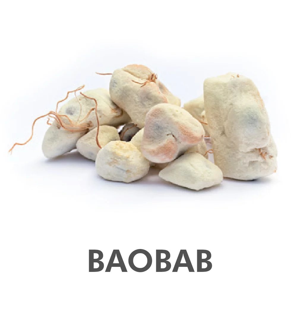 baobab