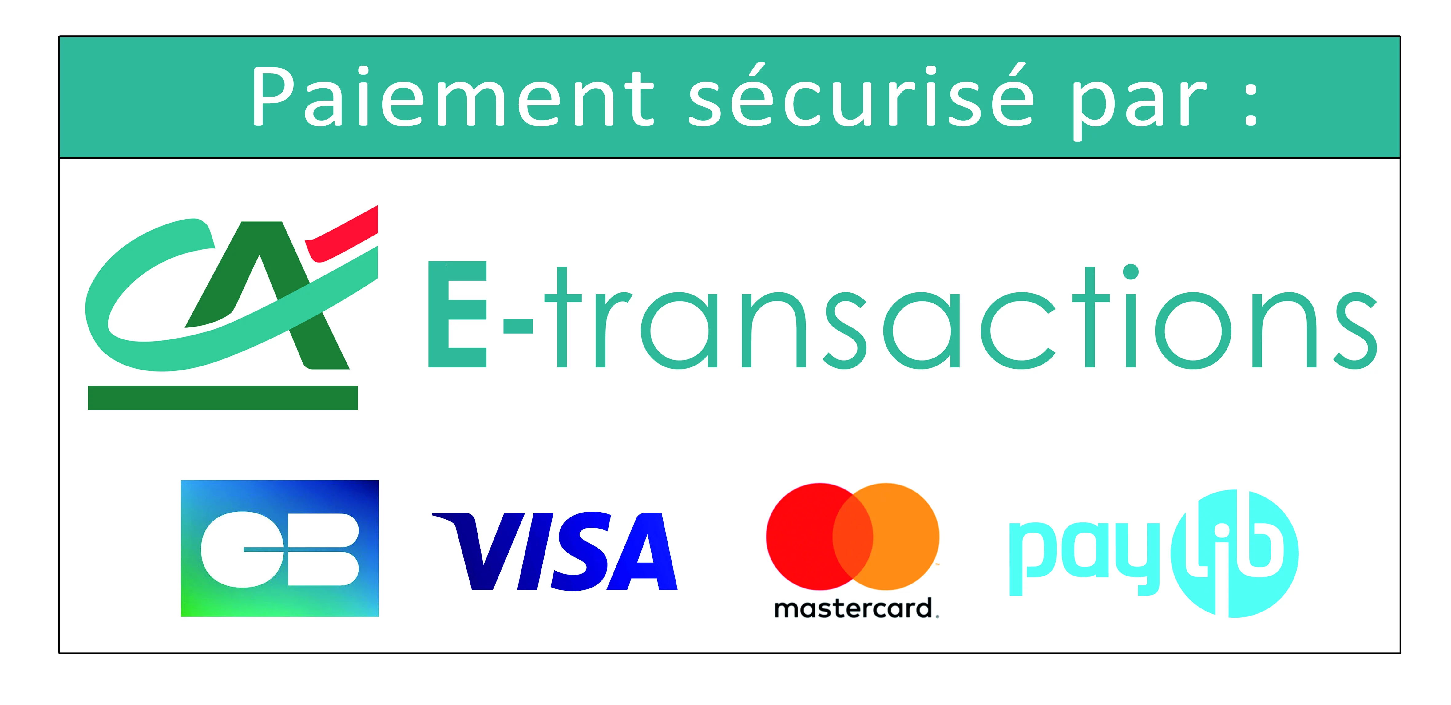 ca-e-transactions-cb-visa-mastercard.jpg