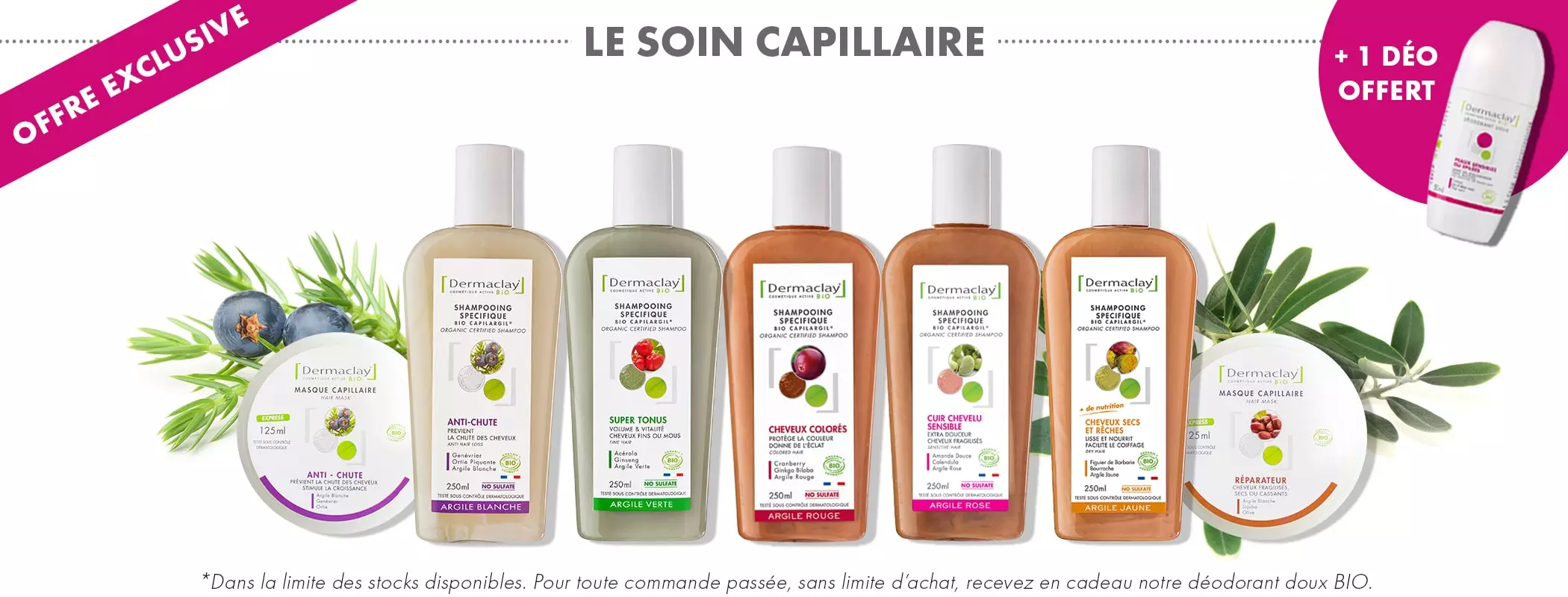 image catégorie soins capillaire